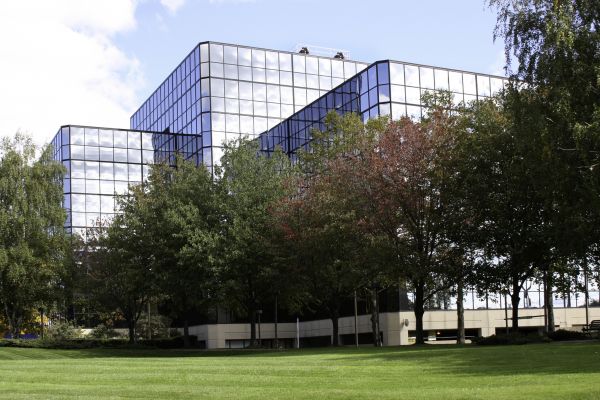 Commercial Tree Trimming in Duluth